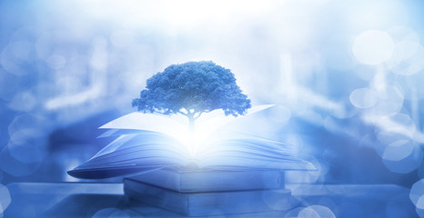 微基金，微基金企业蚂蚁的绿色logo